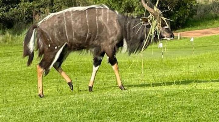 Newburg Lodge & Luxury Bush Tents