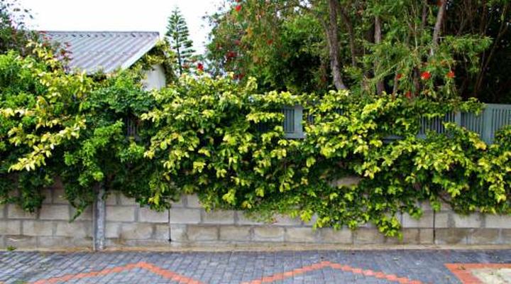 Katinka Self - Catering