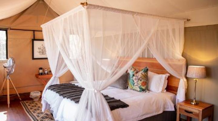 Mankwe Tented Retreat