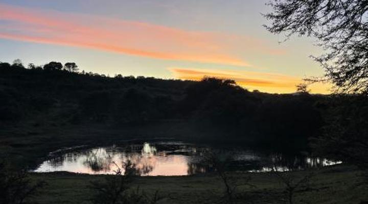 Simbonga Game Reserve & Sanctuary