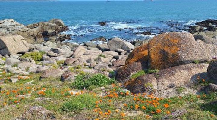 Paradise Beach Apartments Langebaan