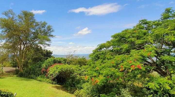 Wide Horizons Mountain Retreat