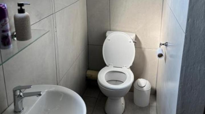 The Bushveld Jasmine