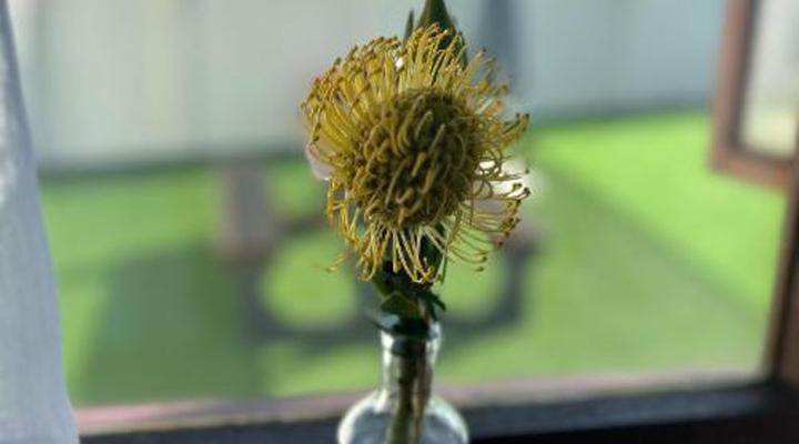 Dolliwarie Guest House