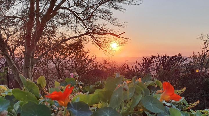Wide Horizons Mountain Retreat