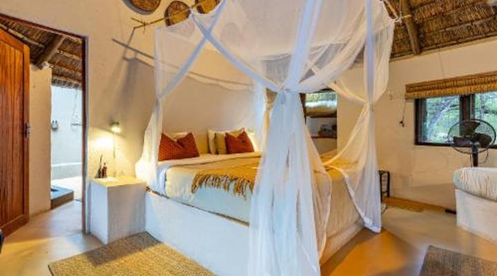 Umlani Bush Camp Timbavati Game Reserve