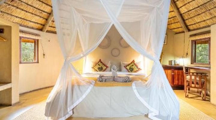 Umlani Bush Camp Timbavati Game Reserve