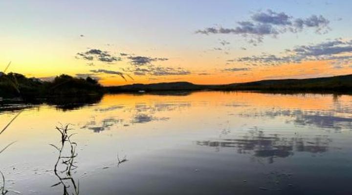 Merwenstein Guest Farm