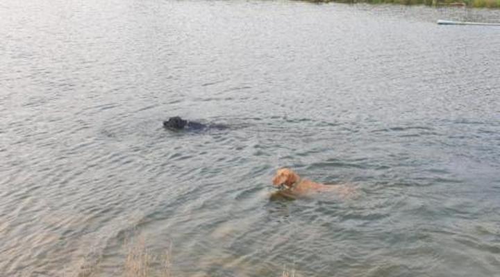 Merwenstein Guest Farm