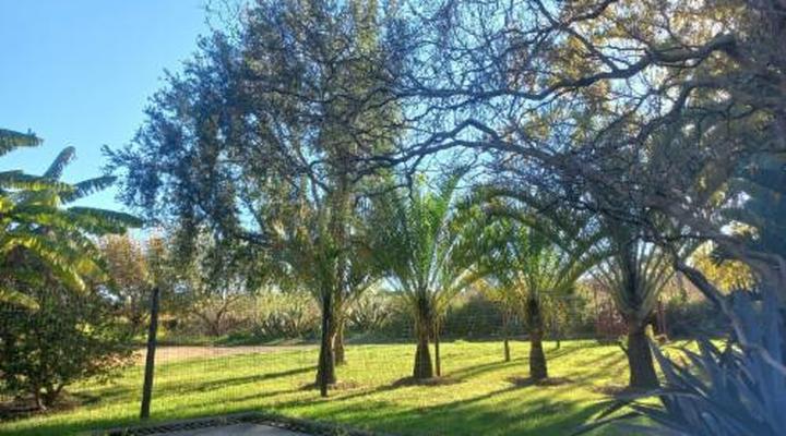 Merwenstein Guest Farm