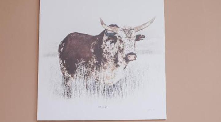 4 Gazelle Guesthouse