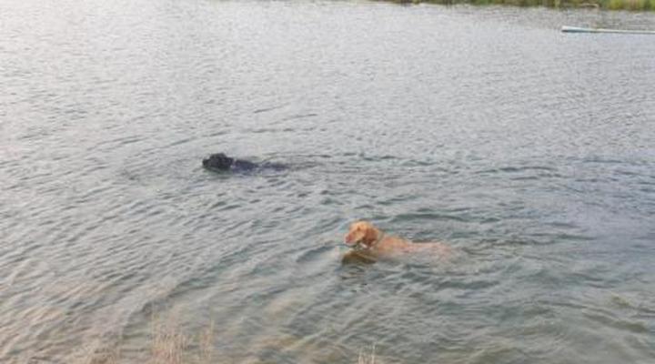 Merwenstein Guest Farm