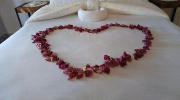 Merwenstein Guest Farm