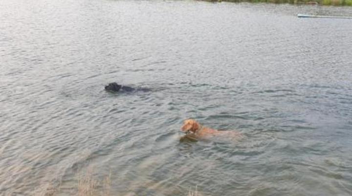 Merwenstein Guest Farm