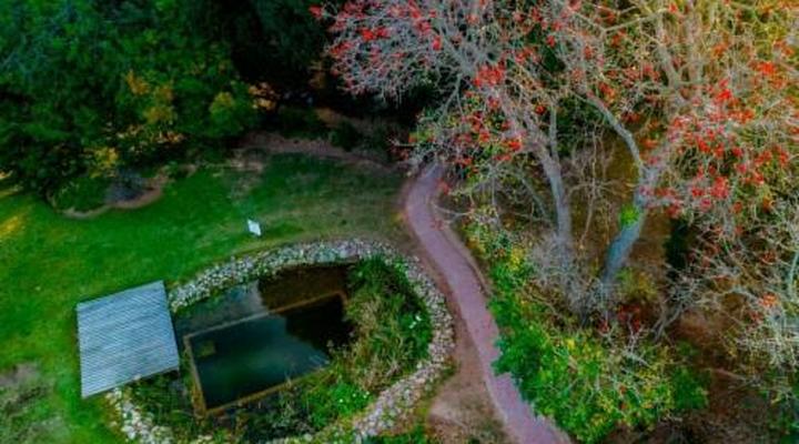 Rosedale Farm Bed and Breakfast