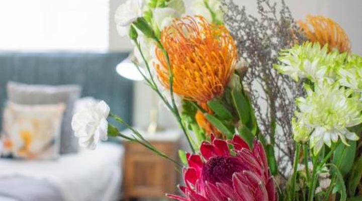 Rozenburg Guest House