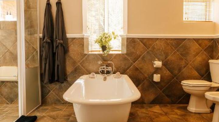 Serendipity Wilderness