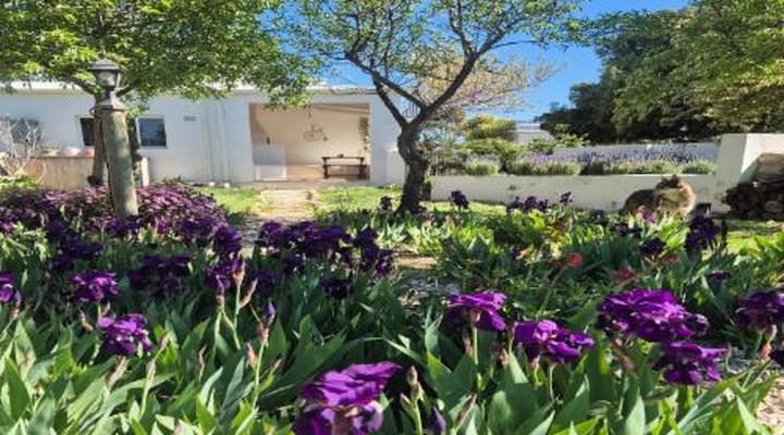 Langdam in Koo Guest Farm and Camping