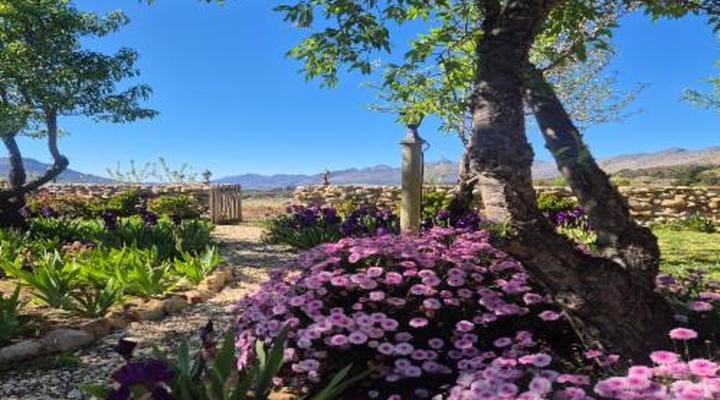 Langdam in Koo Guest Farm and Camping