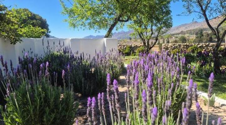 Langdam in Koo Guest Farm and Camping