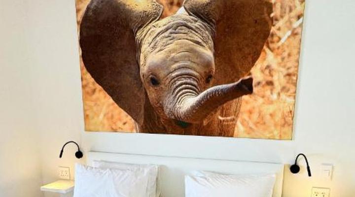 Peach On Beach Boutique Apartments