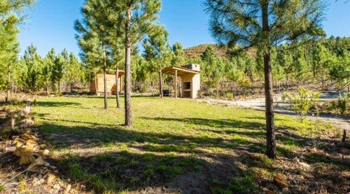 Bumbrah Camp and Glamp