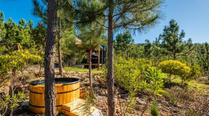 Bumbrah Camp and Glamp