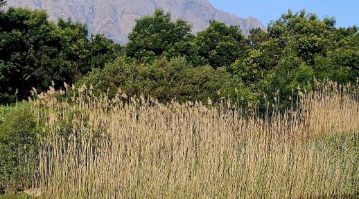 River Edge Accommodation