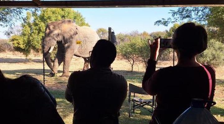 Thorn Tree Bush Camp - Tented camps and cabins