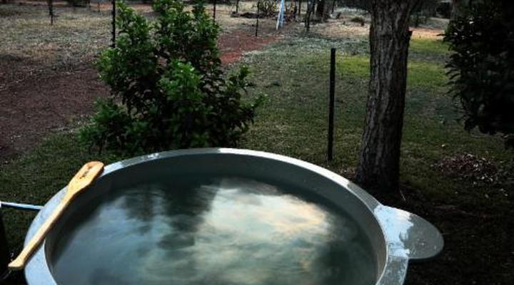 Thorn Tree Bush Camp - Tented camps and cabins