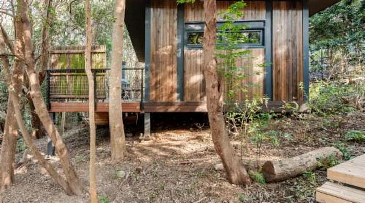 Overstory Forest Cabins