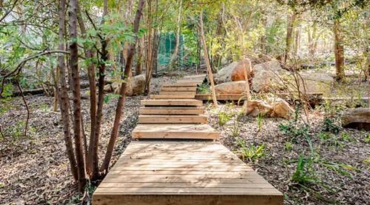 Overstory Forest Cabins