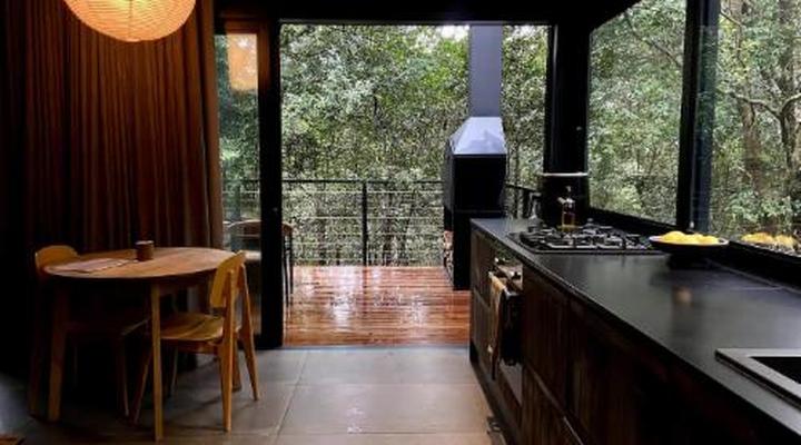 Overstory Forest Cabins