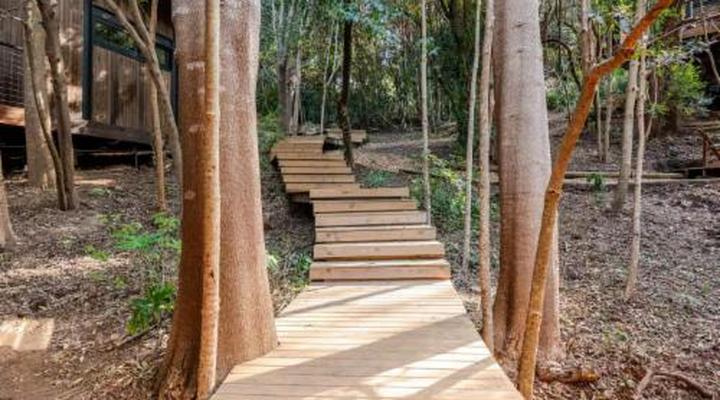 Overstory Forest Cabins