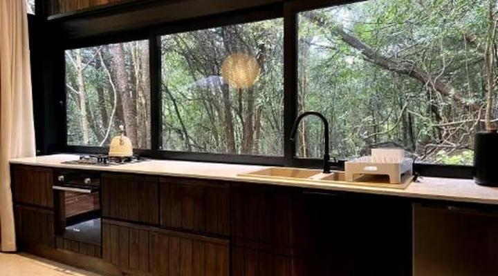 Overstory Forest Cabins