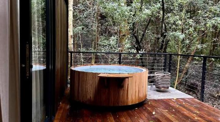 Overstory Forest Cabins