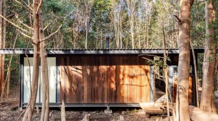 Overstory Forest Cabins