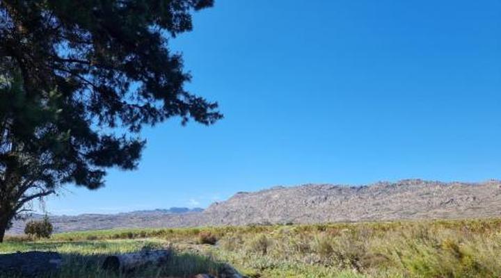 Stayatdestraadt Red Fin Cottage and Middeldeur Campsite