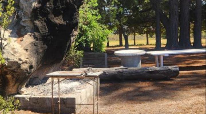 Stayatdestraadt Red Fin Cottage and Middeldeur Campsite