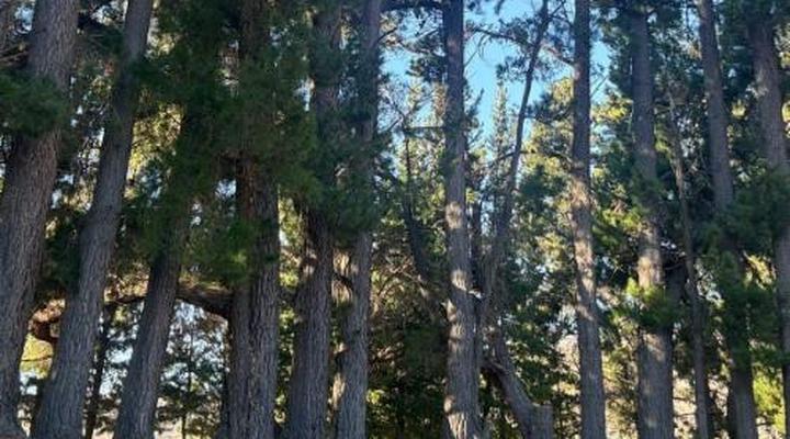 Stayatdestraadt Red Fin Cottage and Middeldeur Campsite