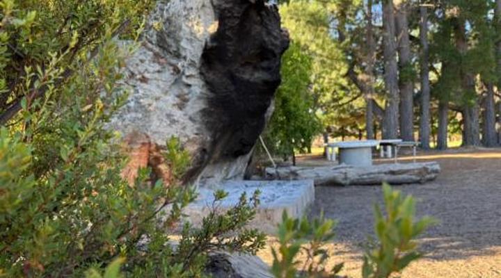 Stayatdestraadt Red Fin Cottage and Middeldeur Campsite