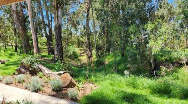 The Tree House Bed & Breakfast