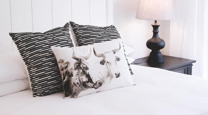 Leopard Tree Bed & Breakfast