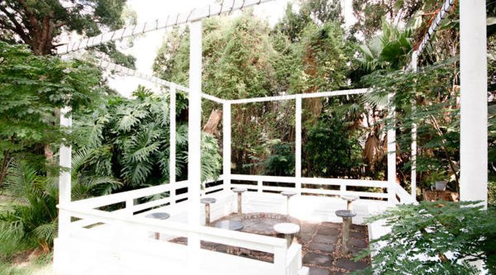 Leopard Tree Bed & Breakfast