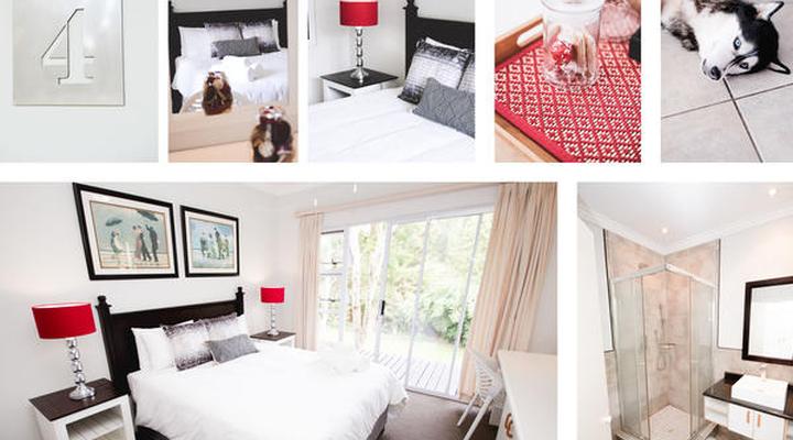 Leopard Tree Bed & Breakfast