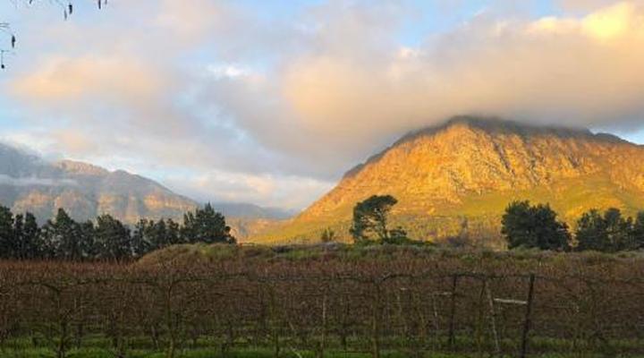 Franschhoek Farm Cottages