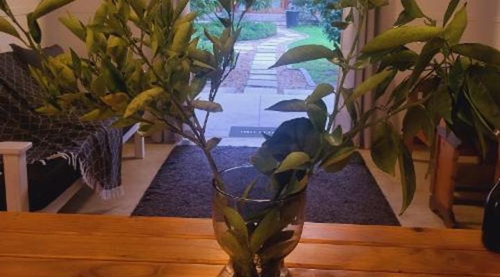 Rosenhof Guesthouse & Self-catering Cederberg