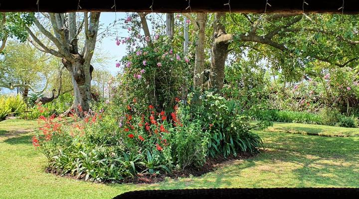 Wide Horizons Mountain Retreat