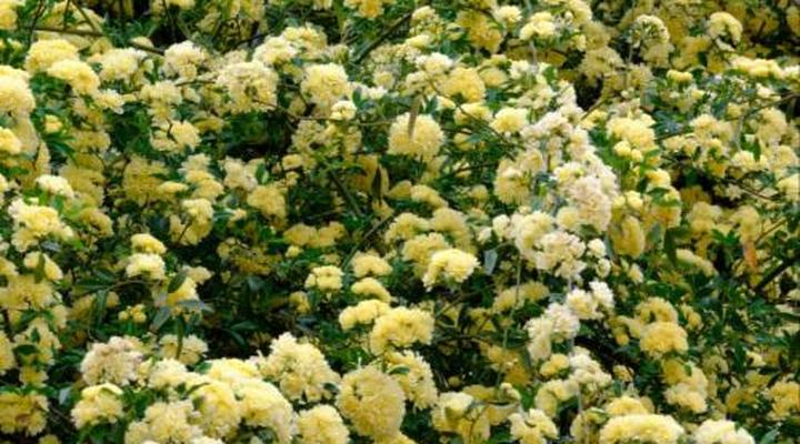 The Hudson Guest House & Suites