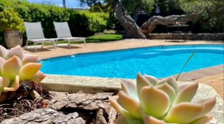 Hermanus Self-Catering